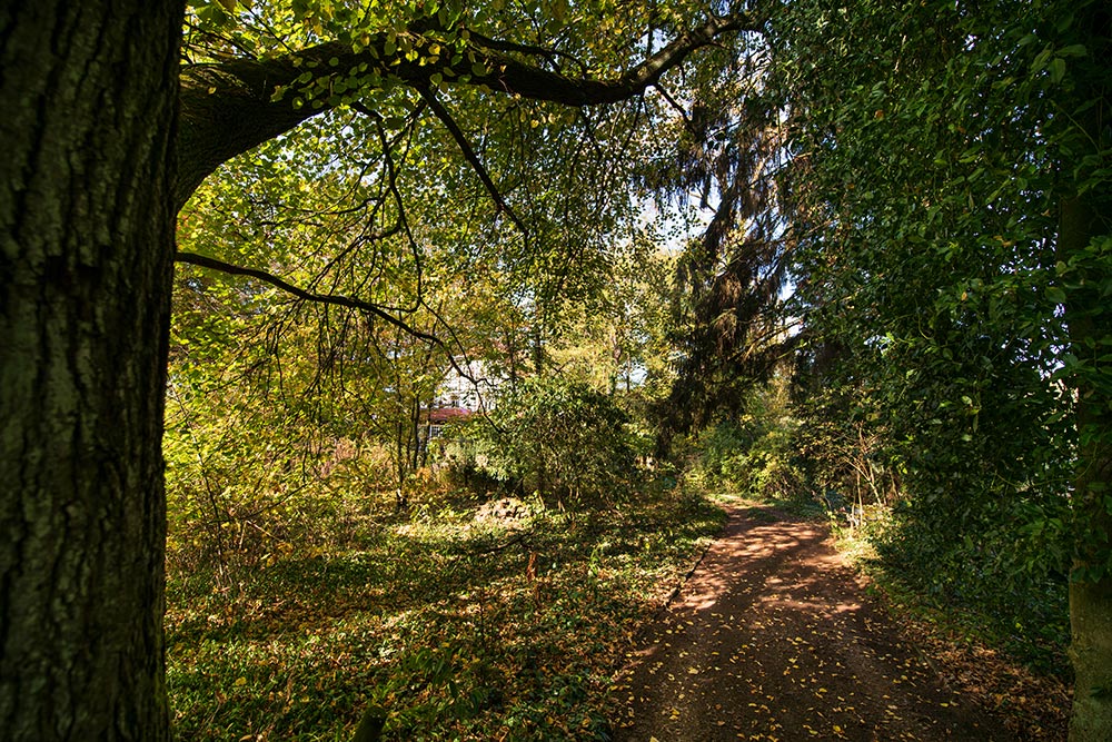 21.06.2019 - Waldbaden & Yoga